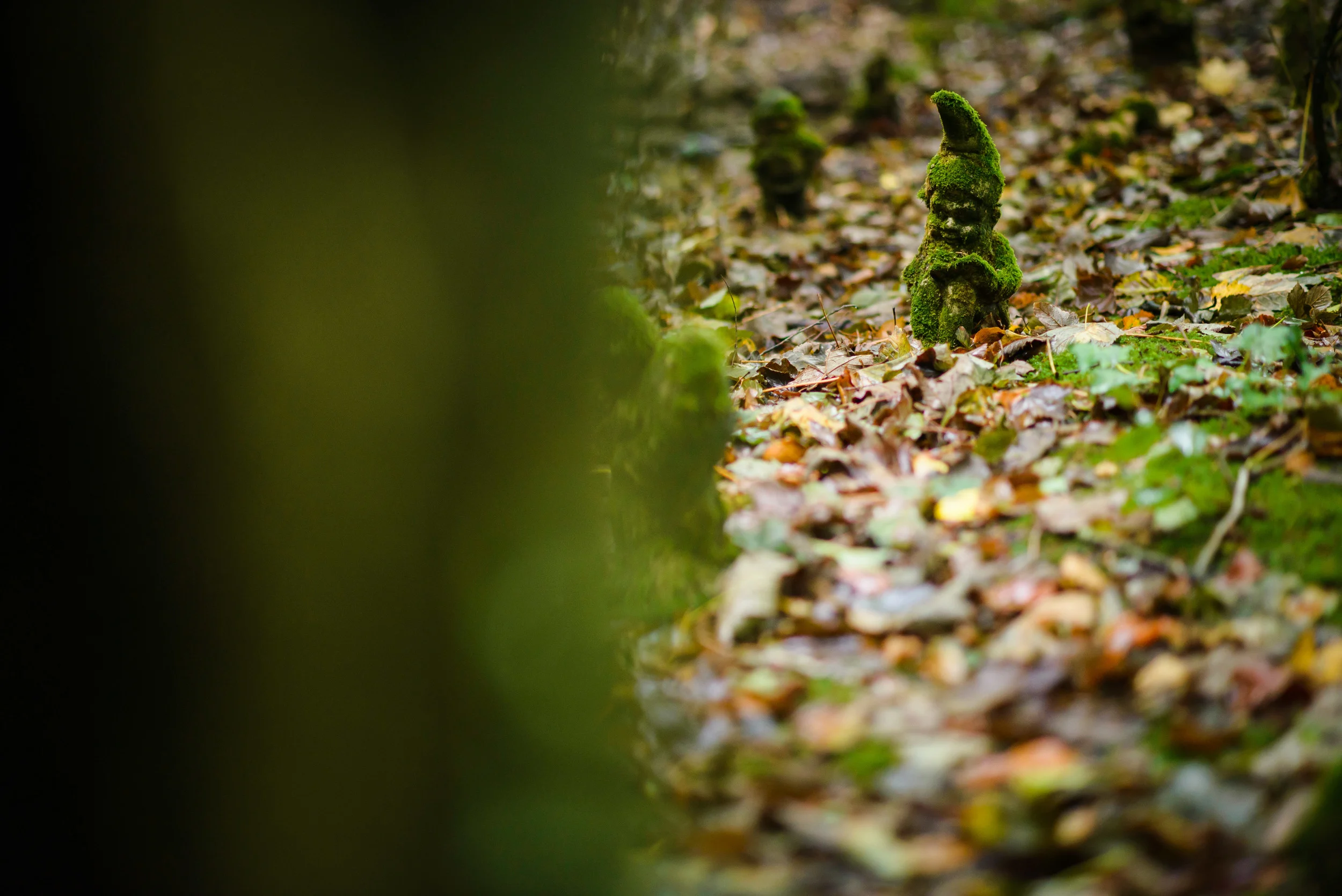 GnomeReserve_Sept15_PLP-21.jpg