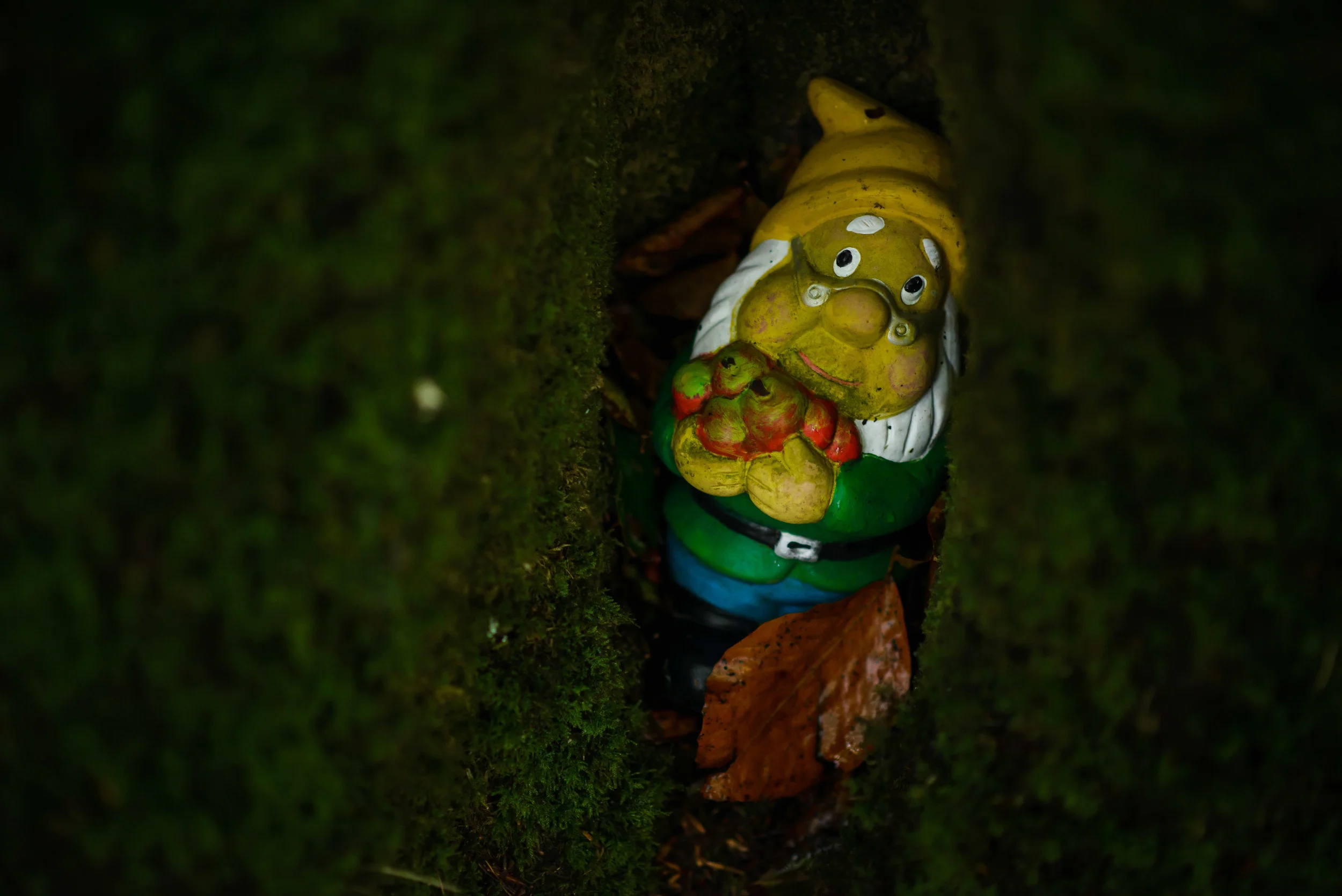 GnomeReserve_Sept15_PLP-27.jpg