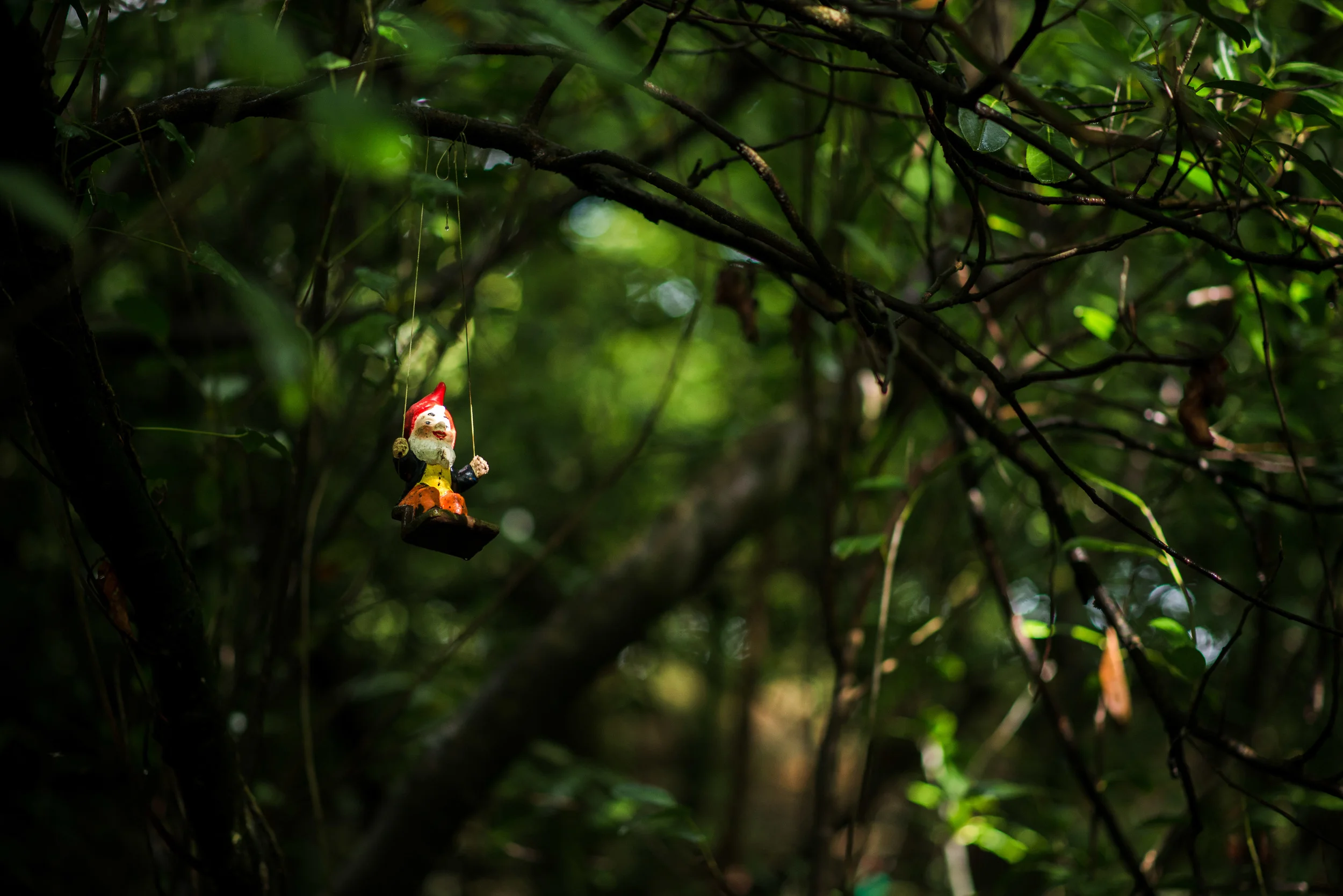GnomeReserve_Sept15_PLP-29.jpg