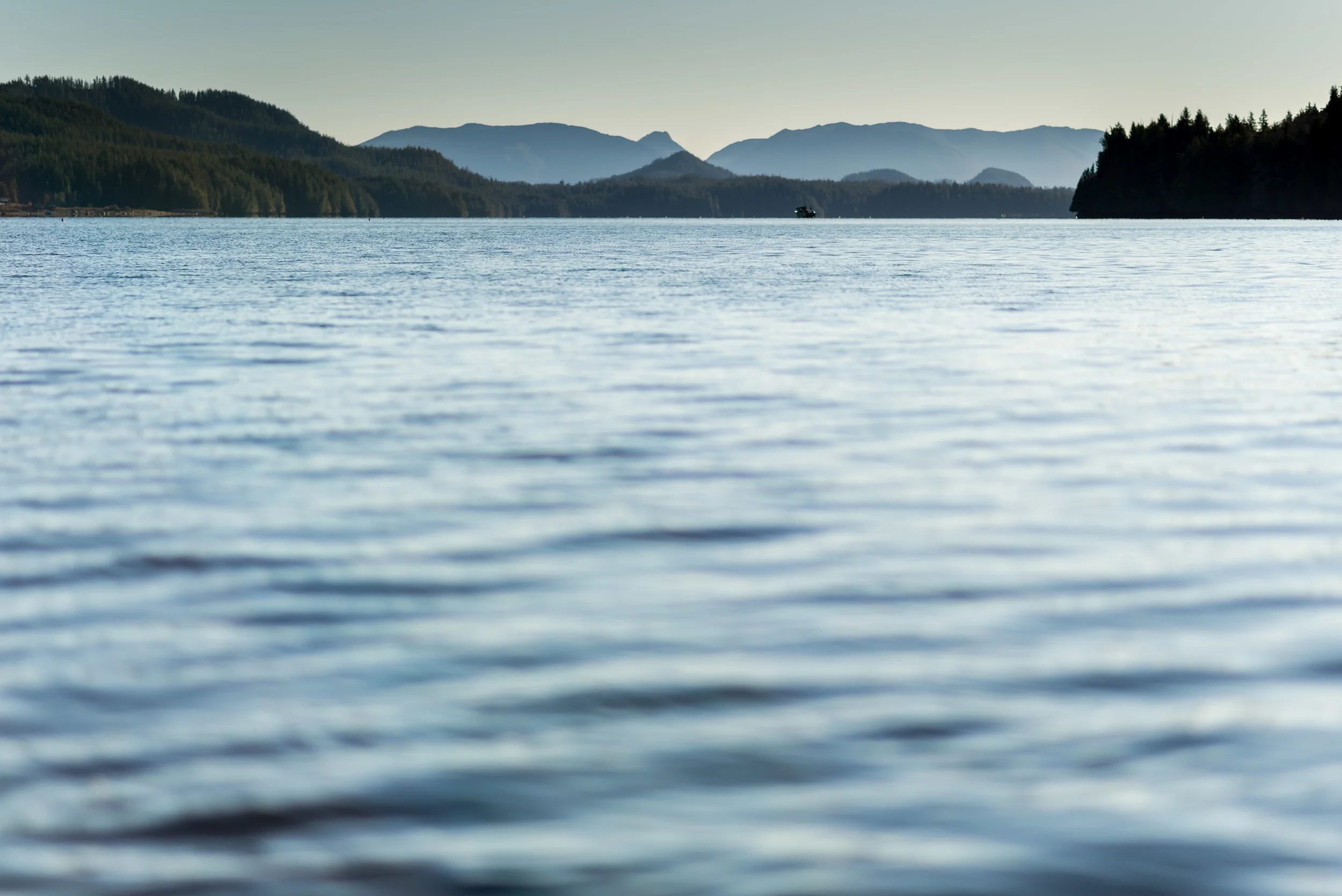 Tofino_SUP1Pick_Nov15_PLP-3.jpg