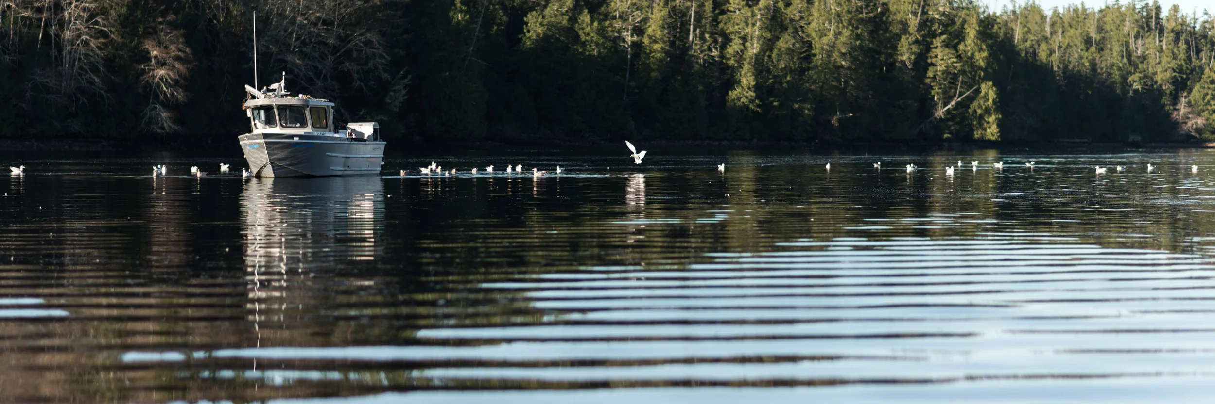 Tofino_SUP1Pick_Nov15_PLP-4.jpg