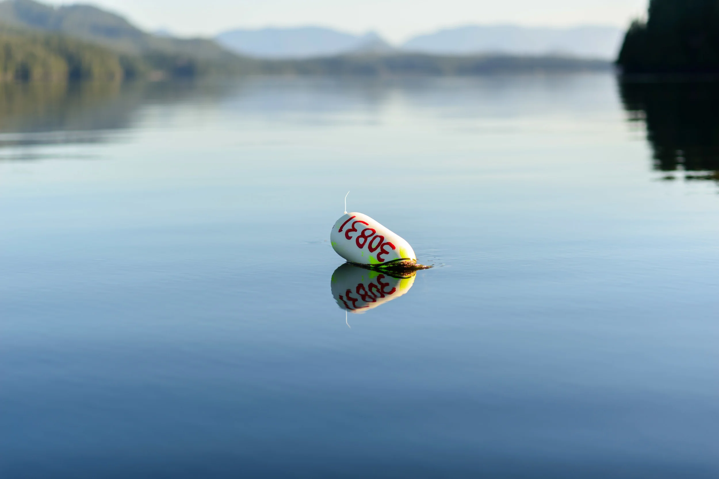 Tofino_SUP1Pick_Nov15_PLP-23.jpg