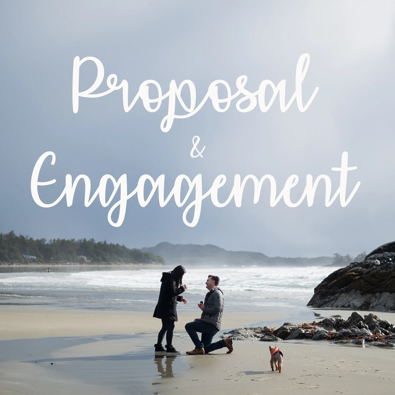 proposals.jpg