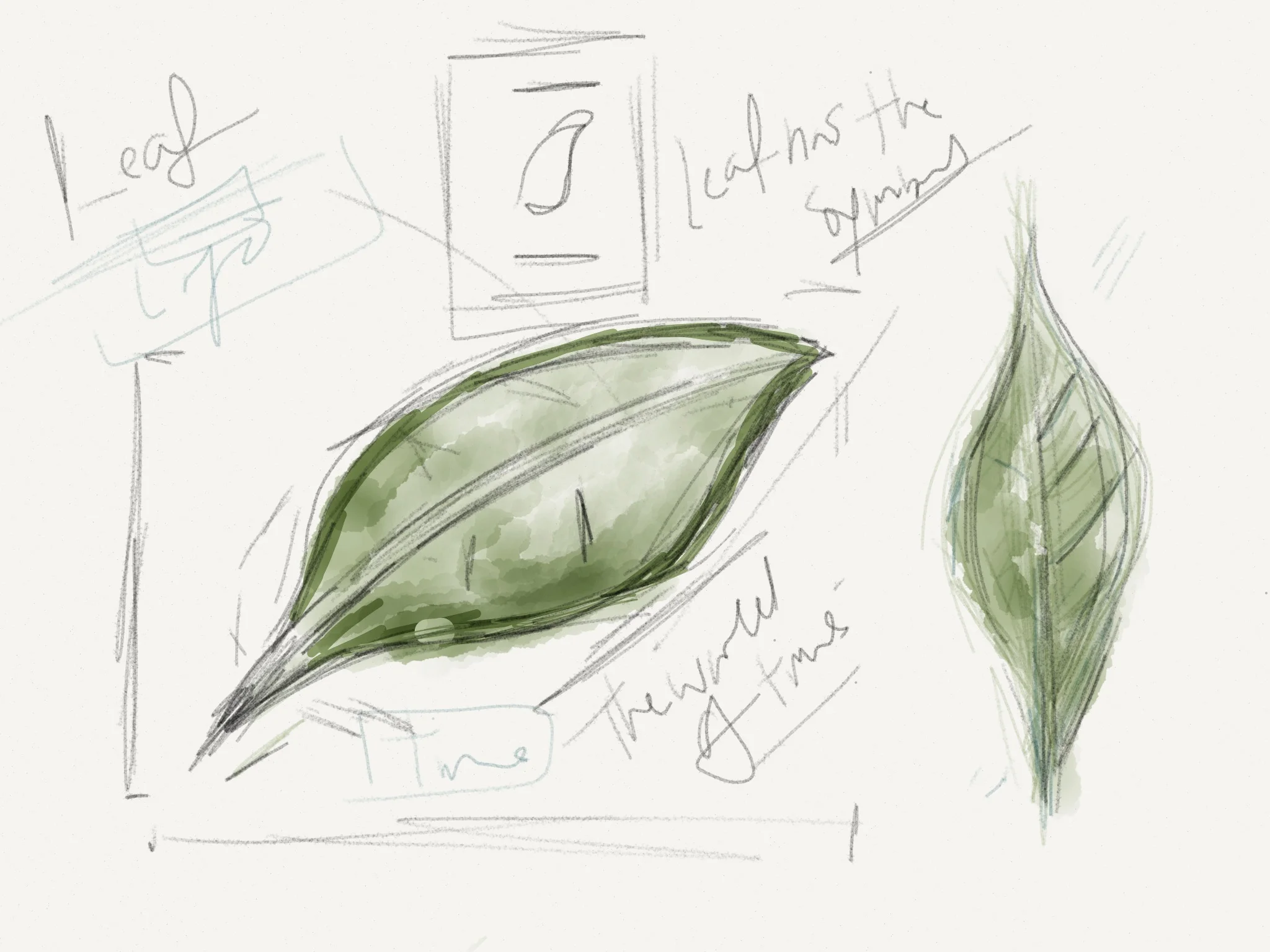 sketch71.jpg