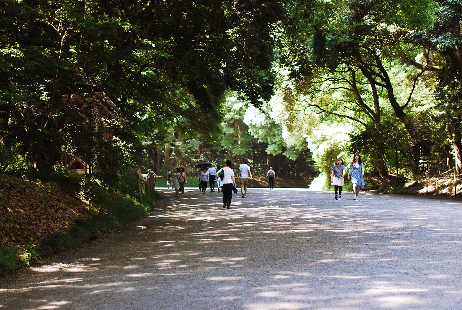 DSC_8230 copy.jpg