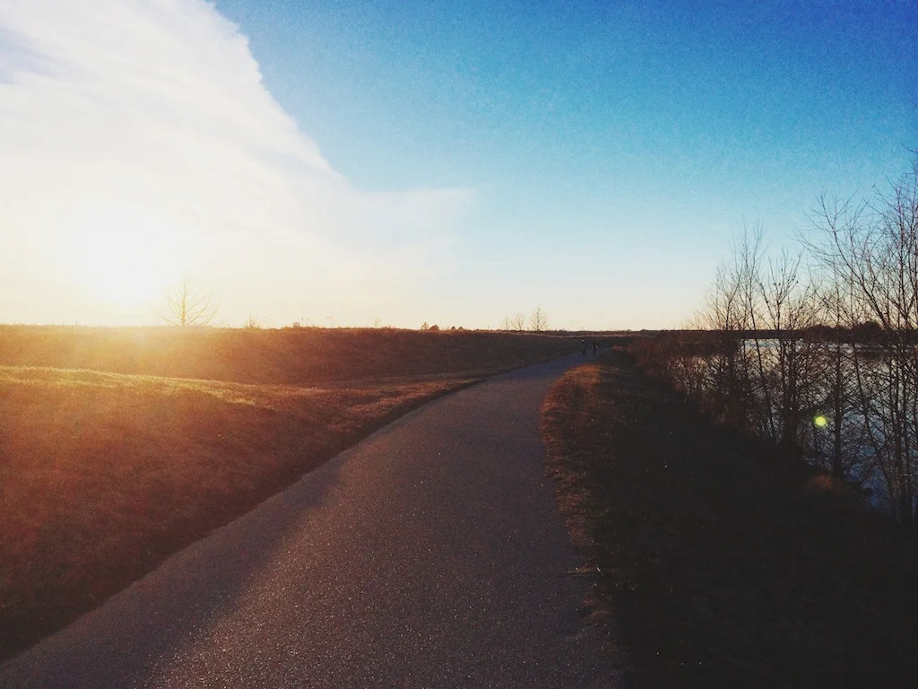 Processed with VSCOcam with lv01 preset
