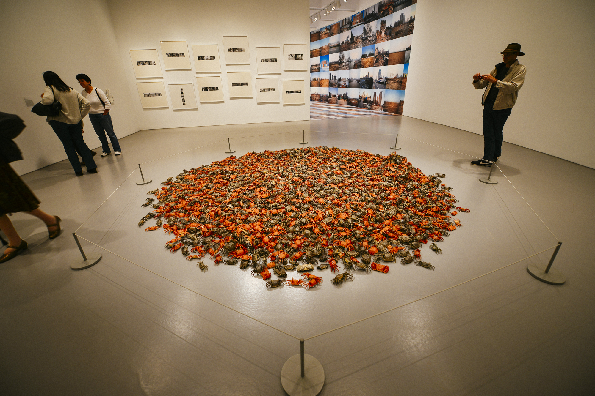 Ai Weiwei, “He Xie” (2010- ), 3,200 porcelain crabs