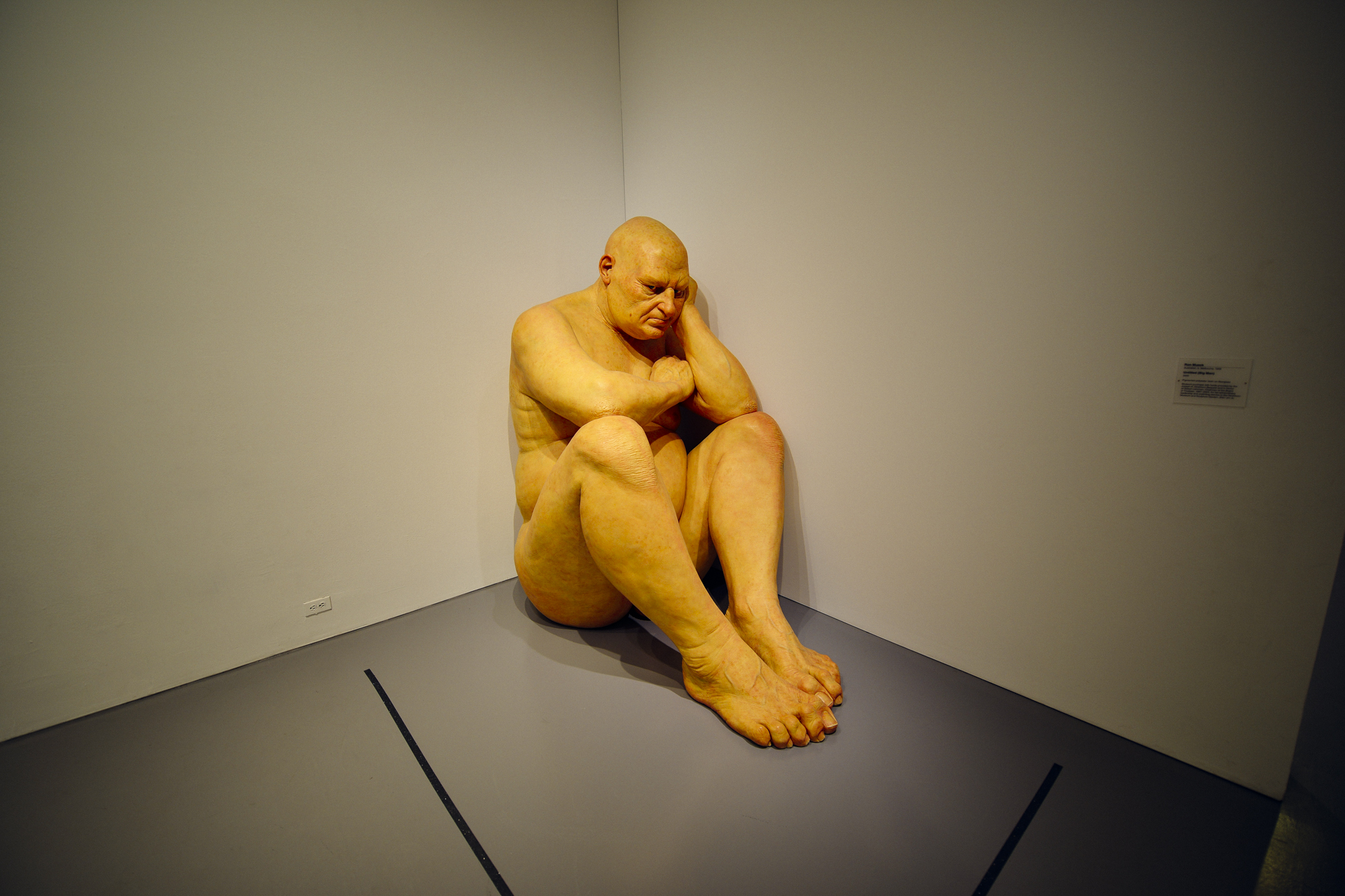 Ron Mueck's "Big Man"