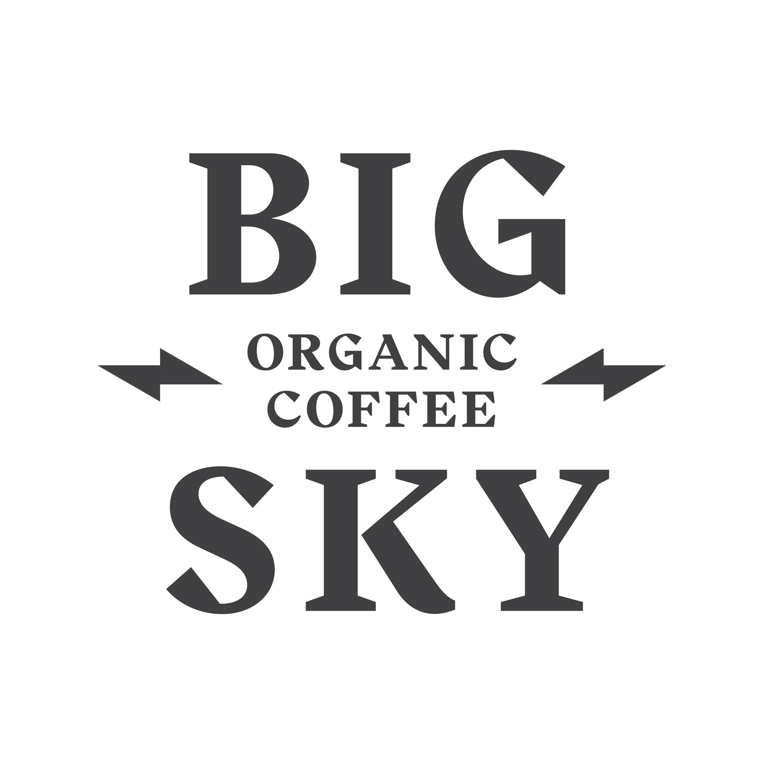 big-sky-logo.jpg