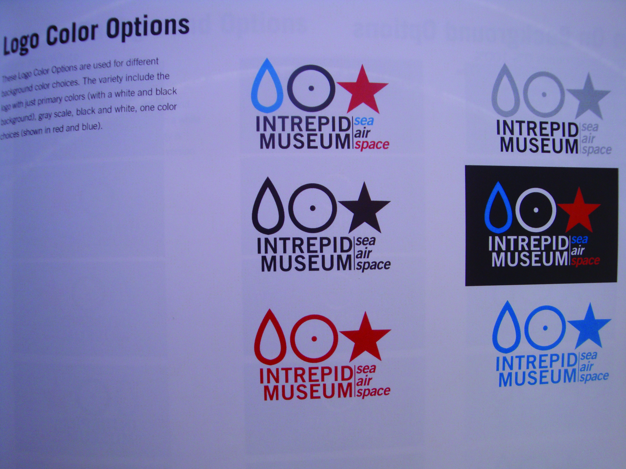 Logo Color Options