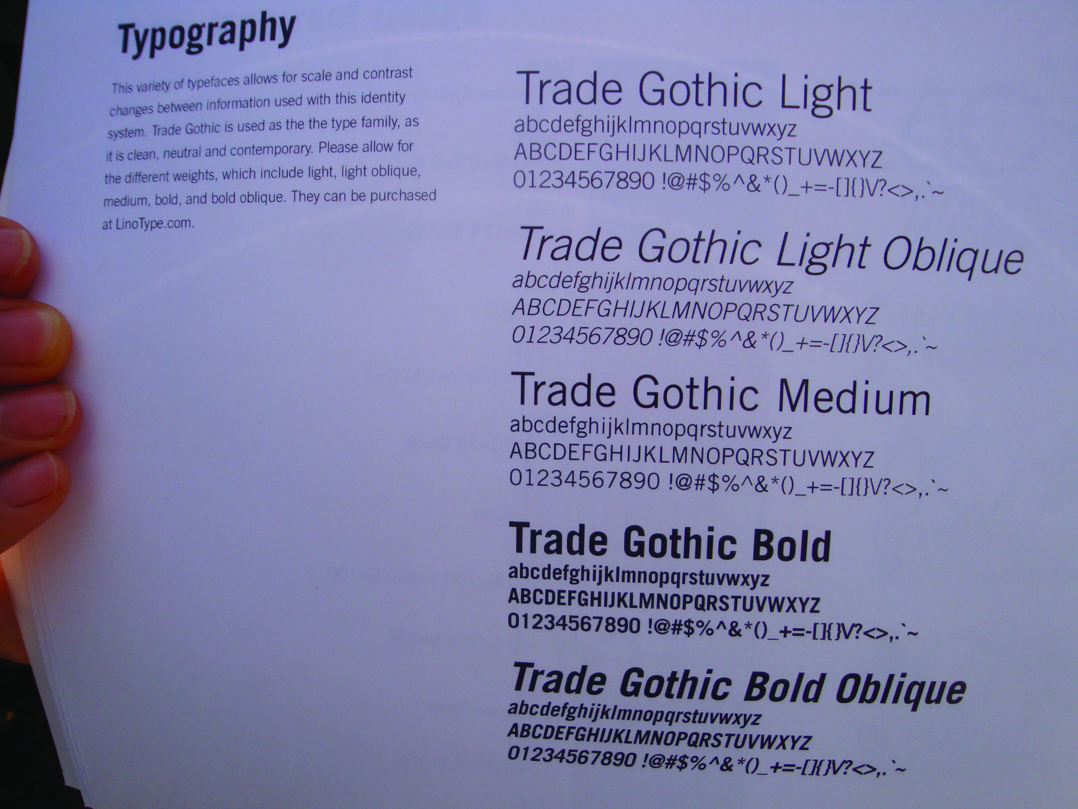 Typography