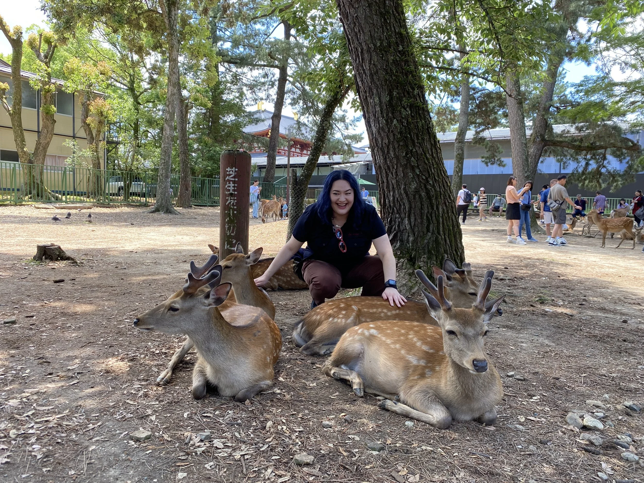 Making friends with the locals in Nara, Japan
