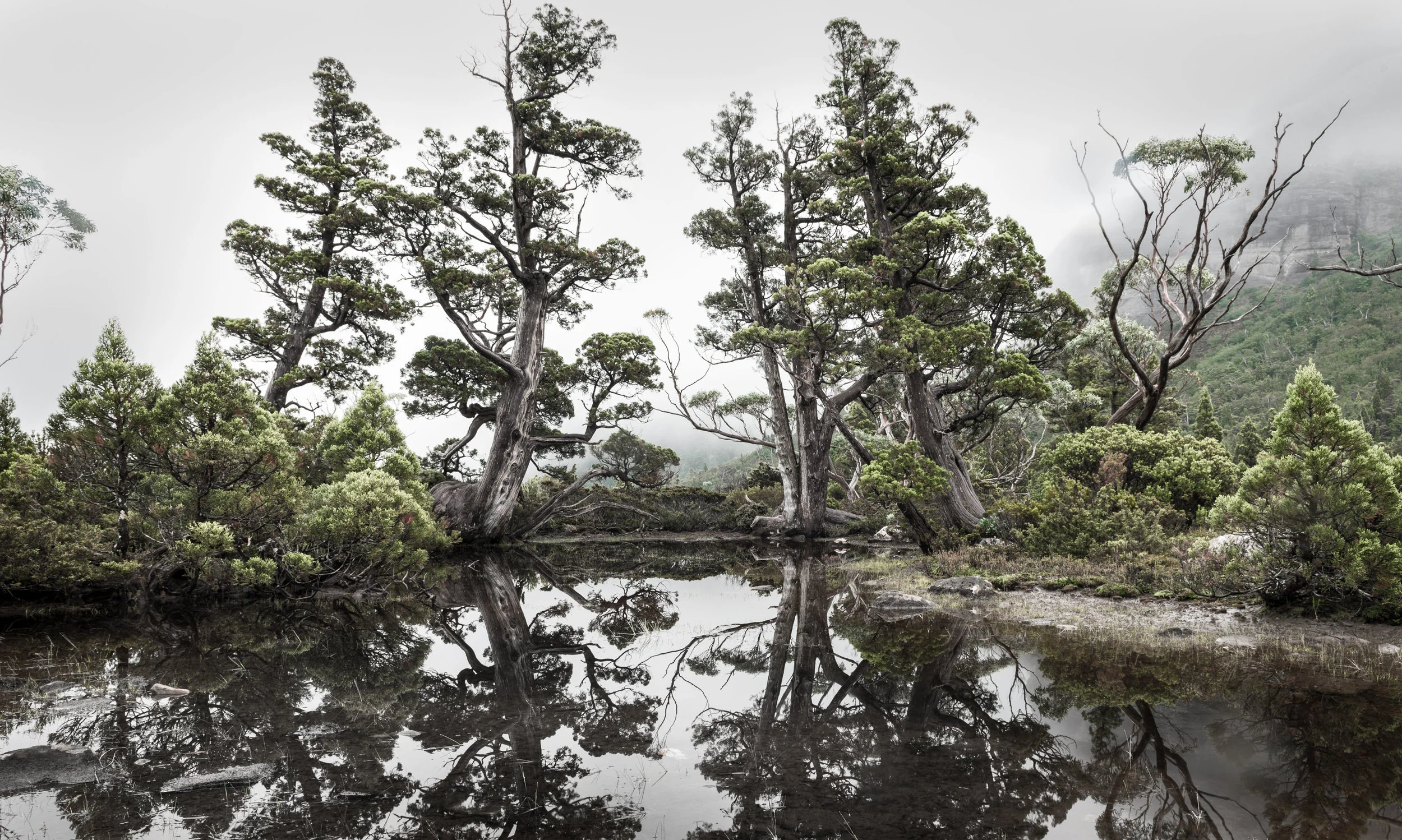 Artist's Pool, Cradle Mountain