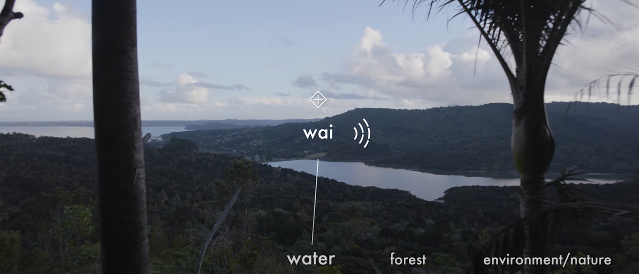 Screen Shot 2020-10-28 at 9.07.32 AM.png