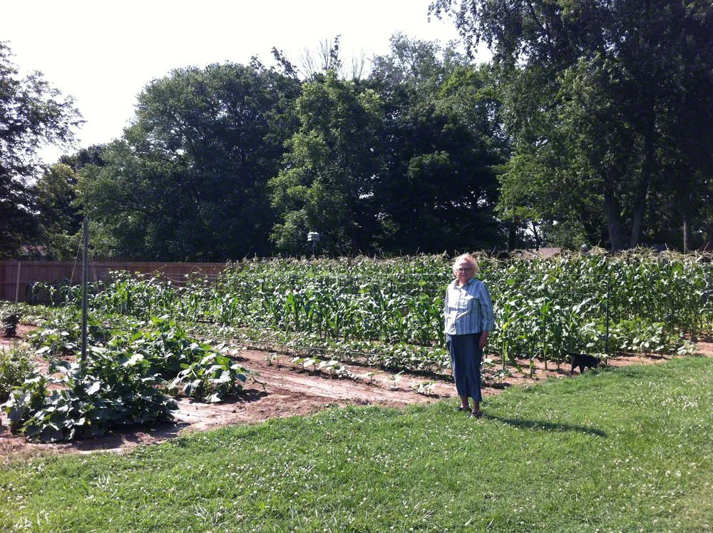 Granny Blossom and her Garden