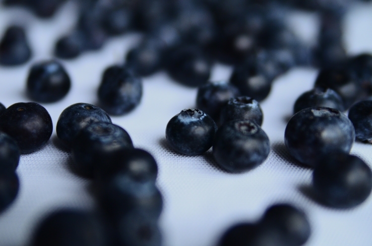 Blueberry Vinaigrette with Baby Greens and Toasted Walnuts | Seed Plant Water Grow