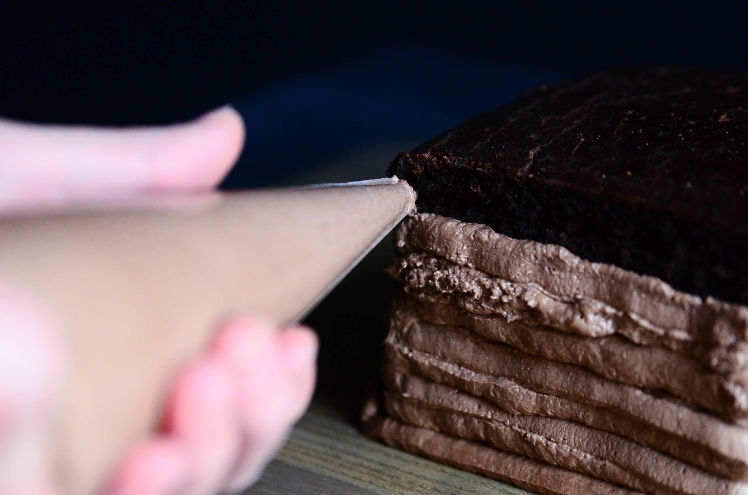 Chocolate Dream Birthday Cake(Vegan & GF) | Seed Plant Water Grow