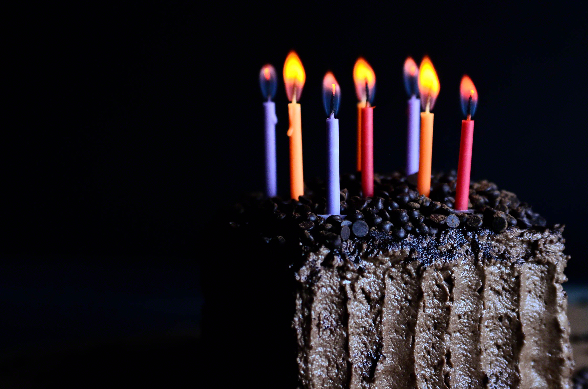 Chocolate Dream Birthday Cake(Vegan & GF) | Seed Plant Water Grow