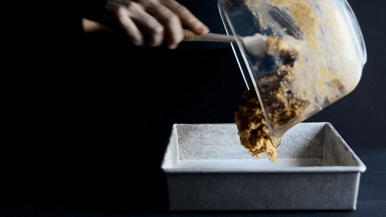 Whole Satsuma Almond Squares topped with Glaze, Toasted Coconut and Zest | Seed Plant Water Grow