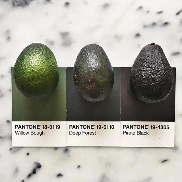 Latest distraction #pantoneposts