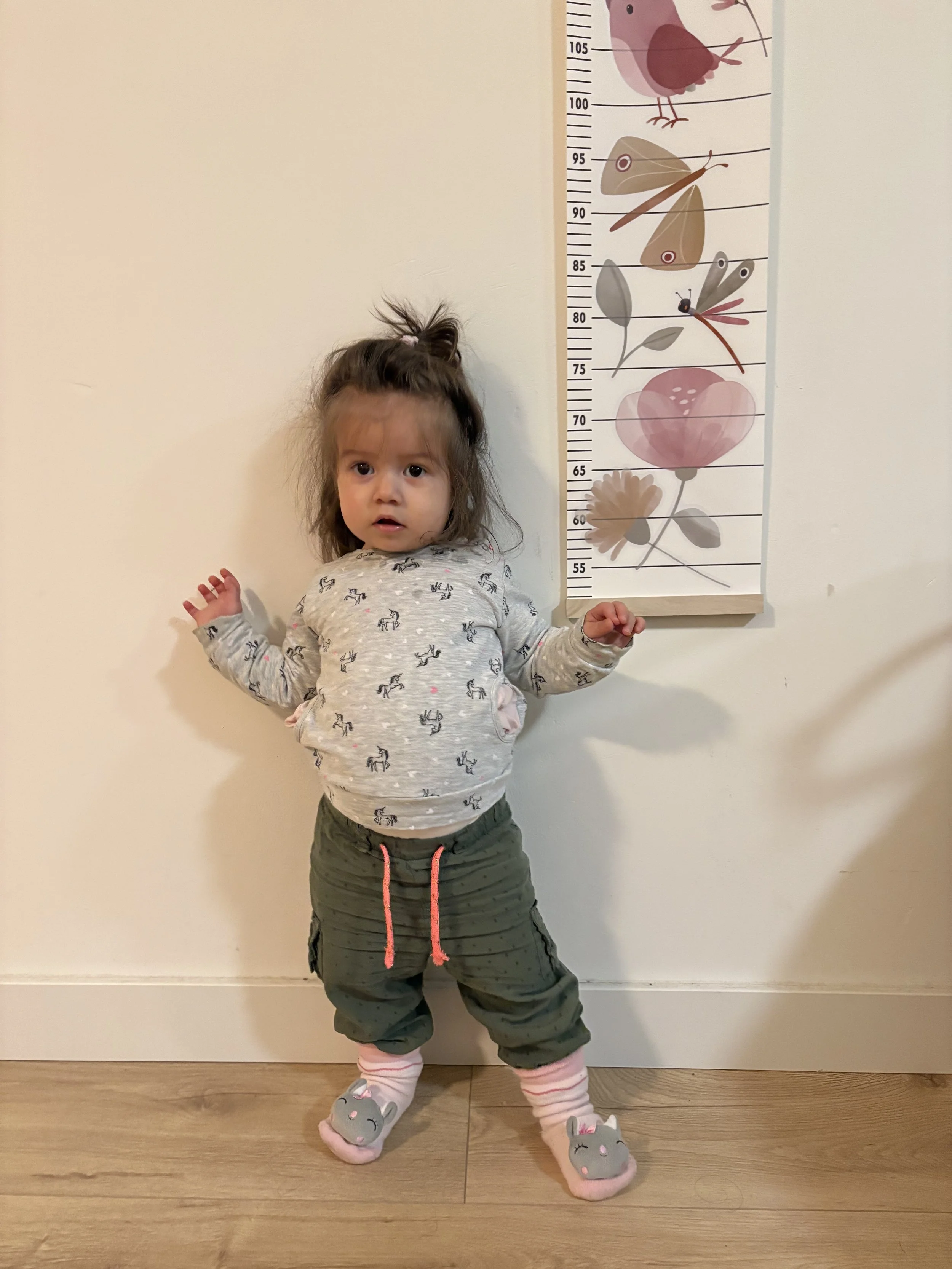 2025-01-04 18.27.02.jpg