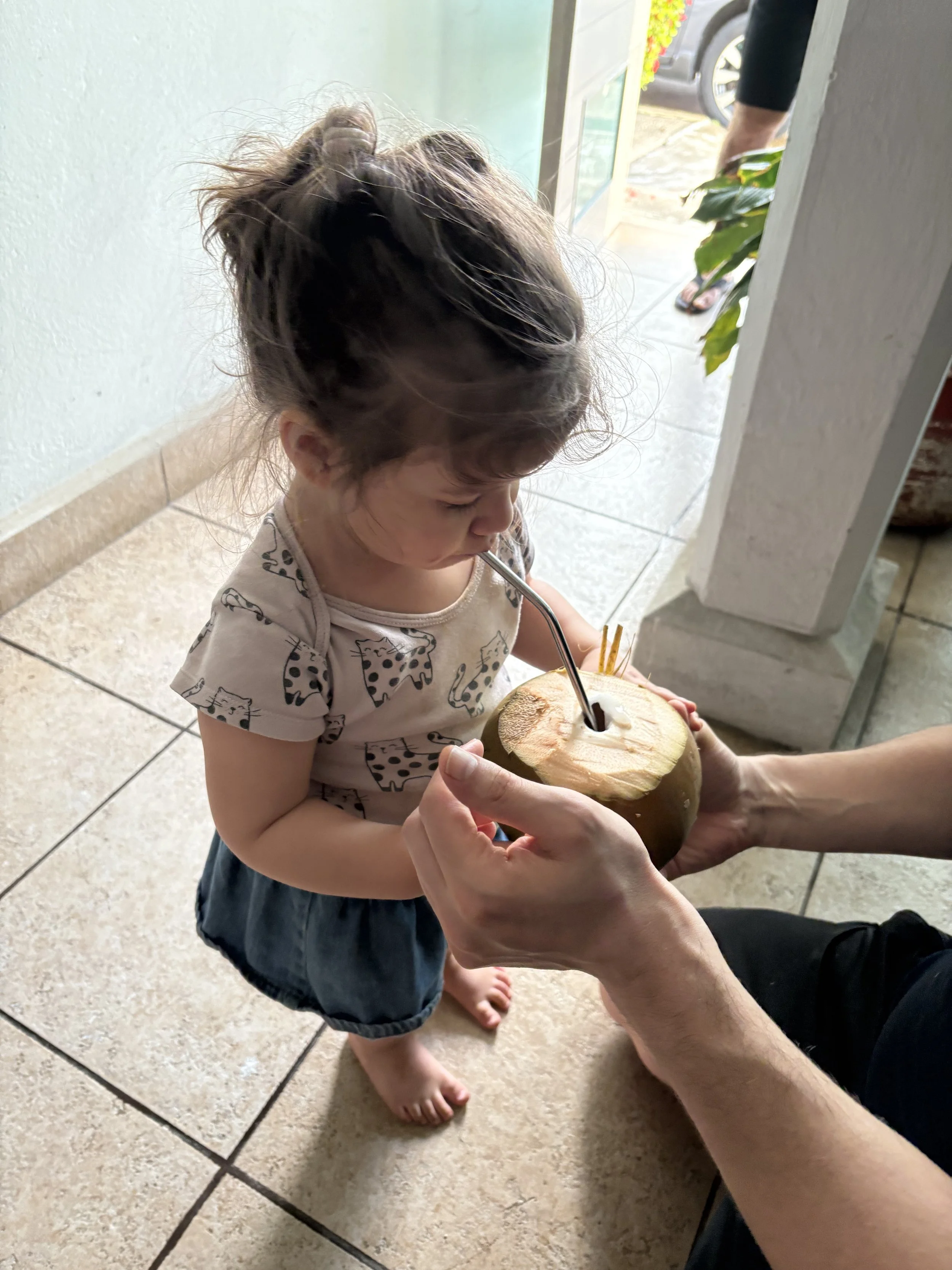 2025-12-24 16.51.39.jpg