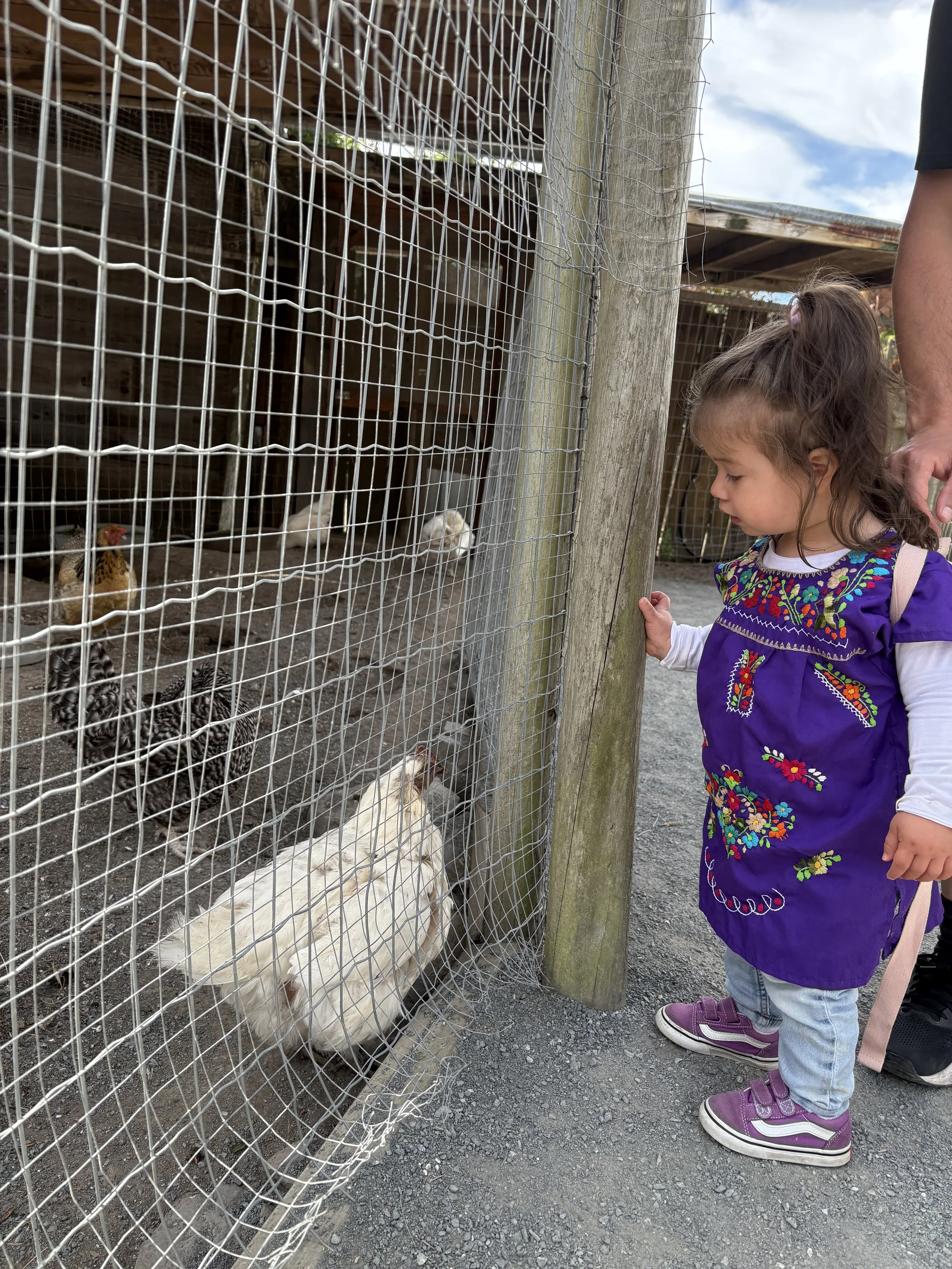 2025-07-08 20.34.05.jpg