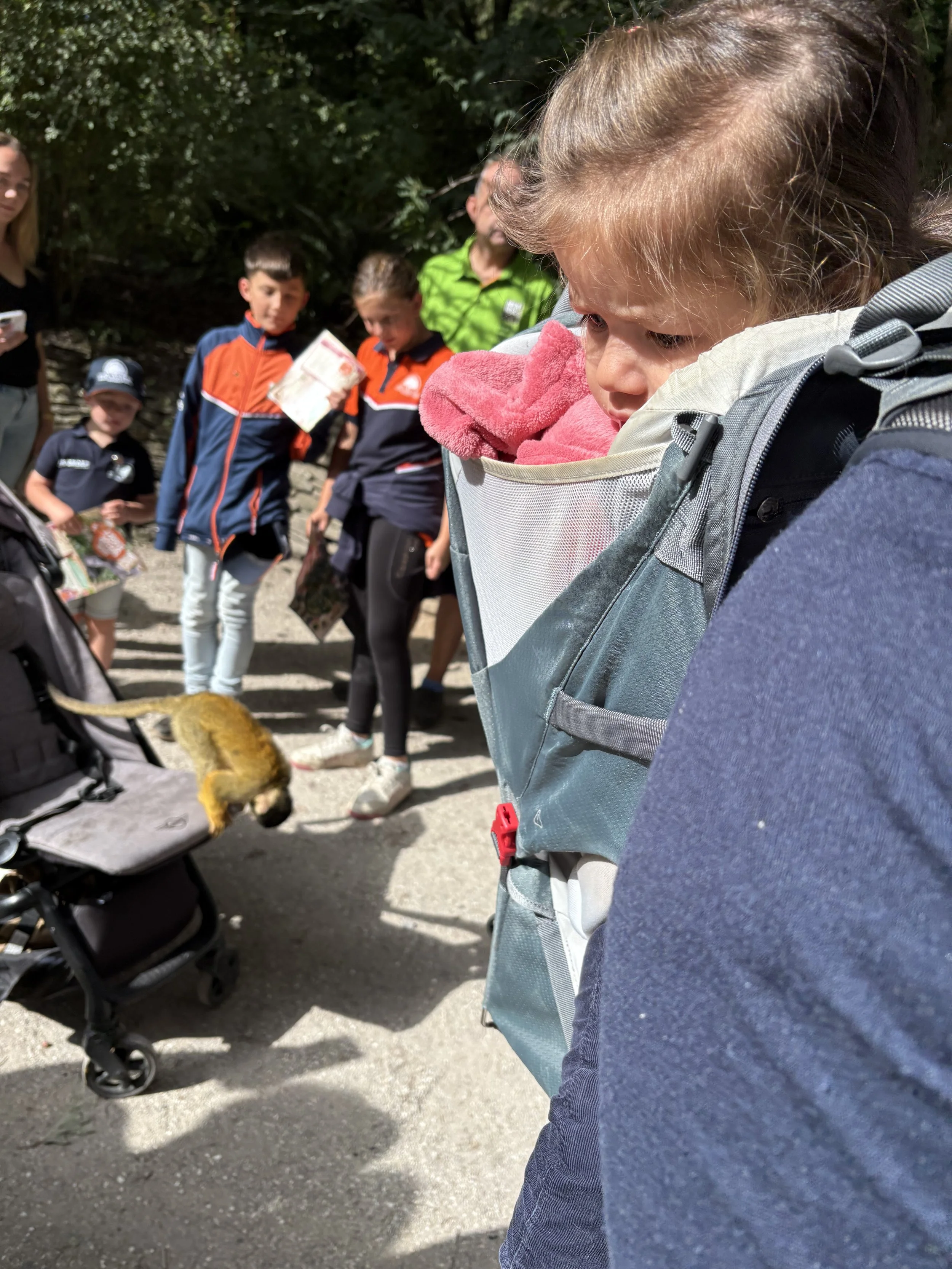 2025-08-24 10.49.40-1.jpg