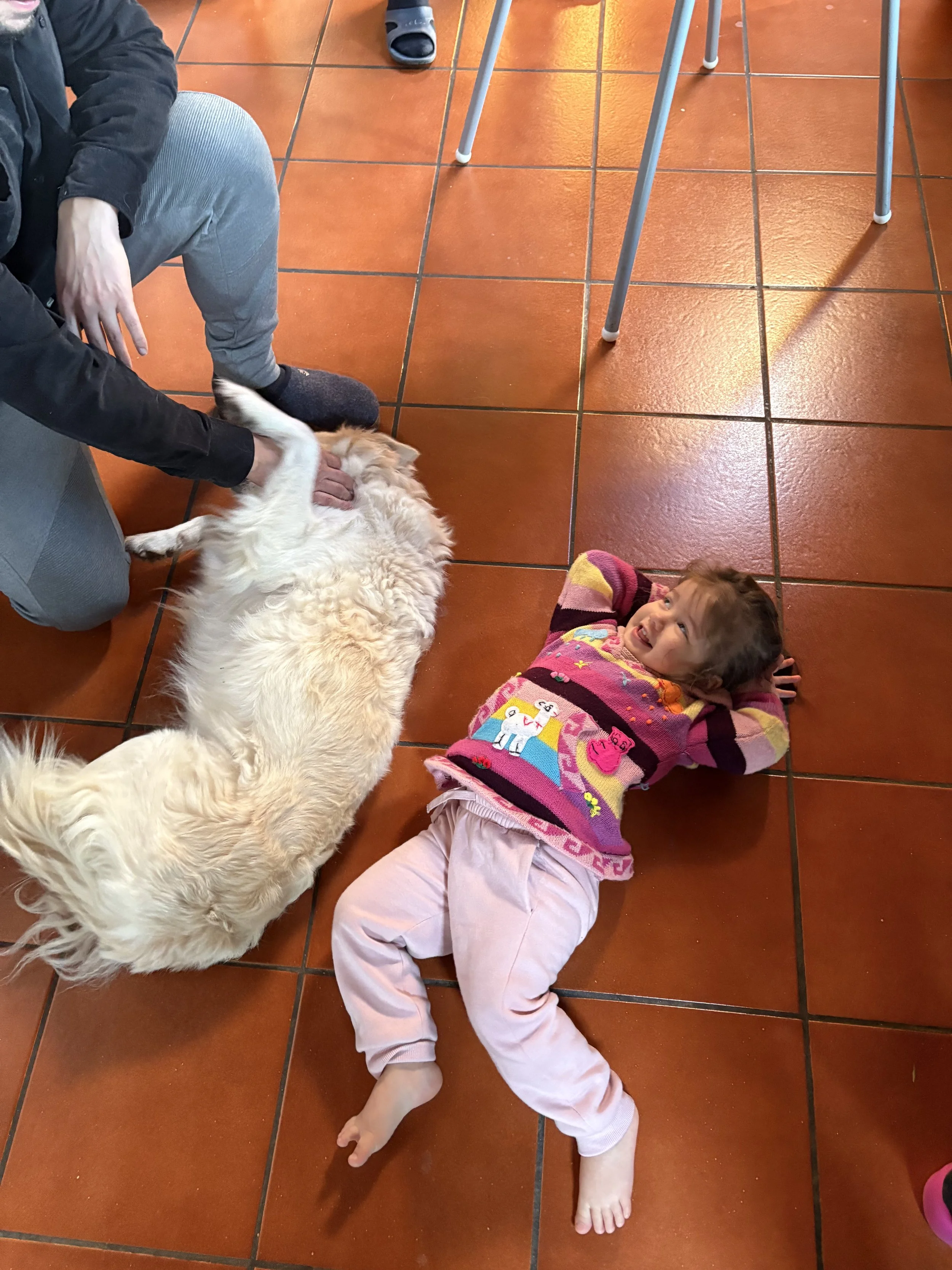 2025-11-08 09.36.58.jpg