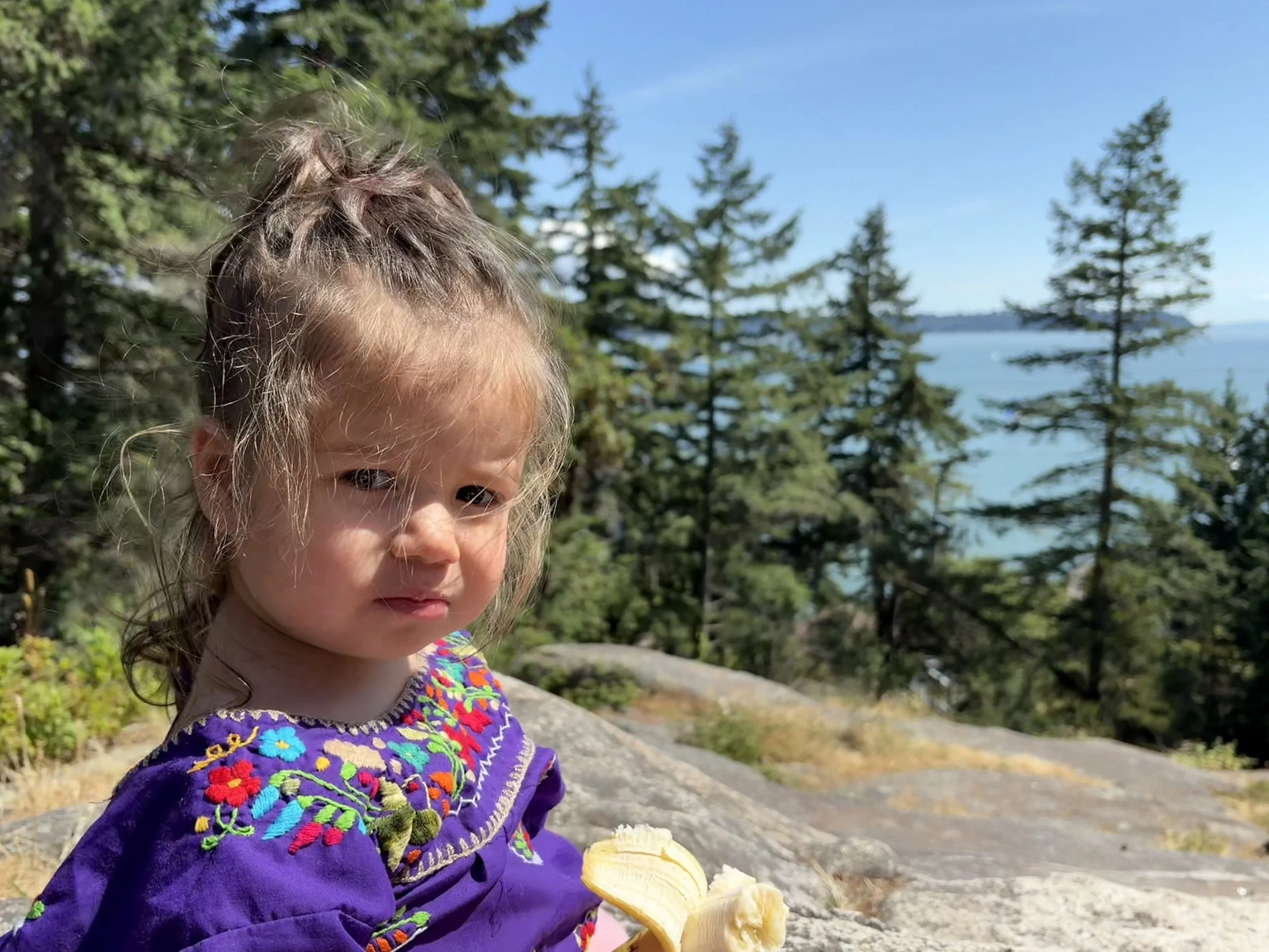 2025-06-28 15.24.30-1.jpg