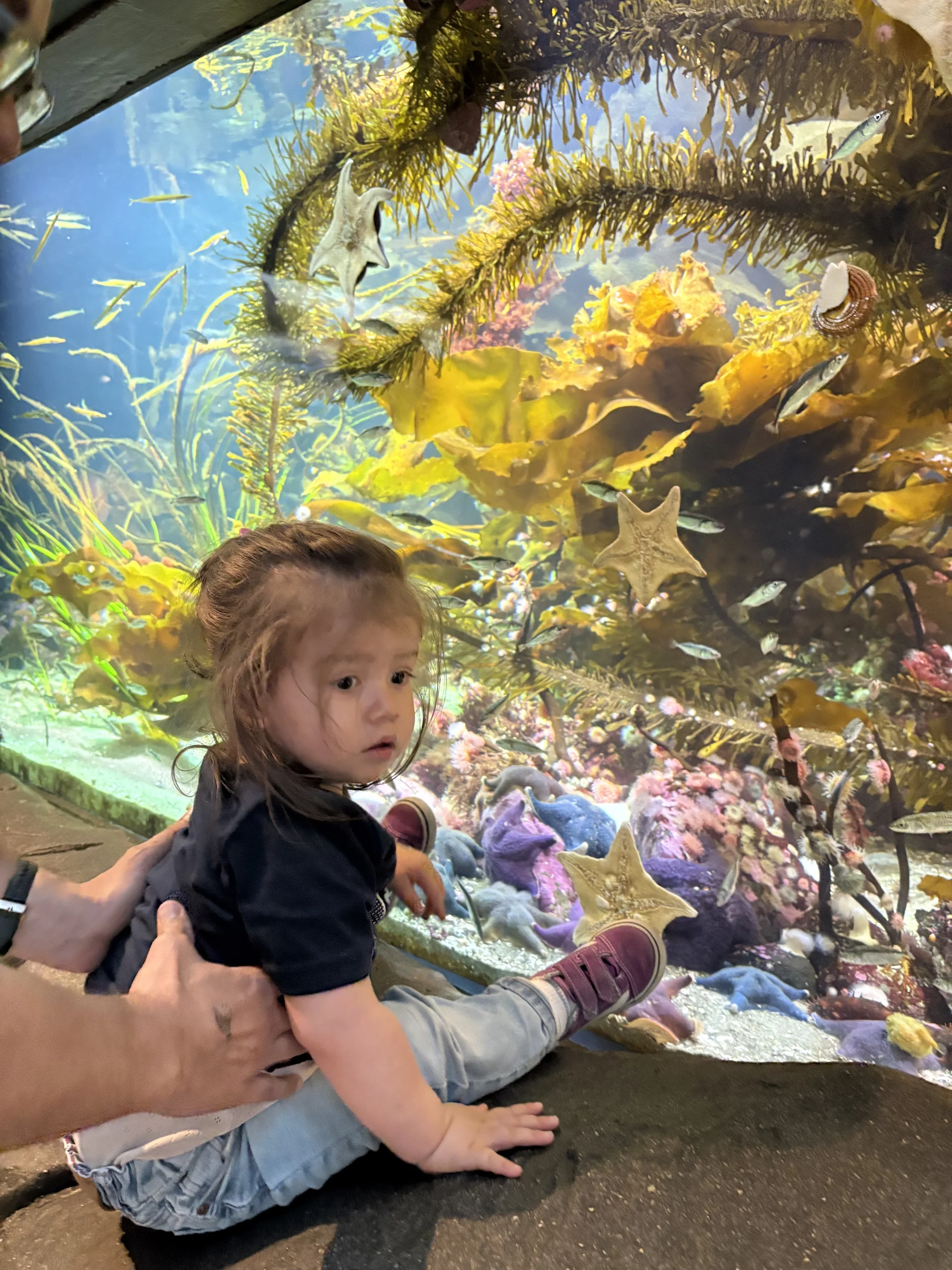 2025-06-29 11.44.57.jpg