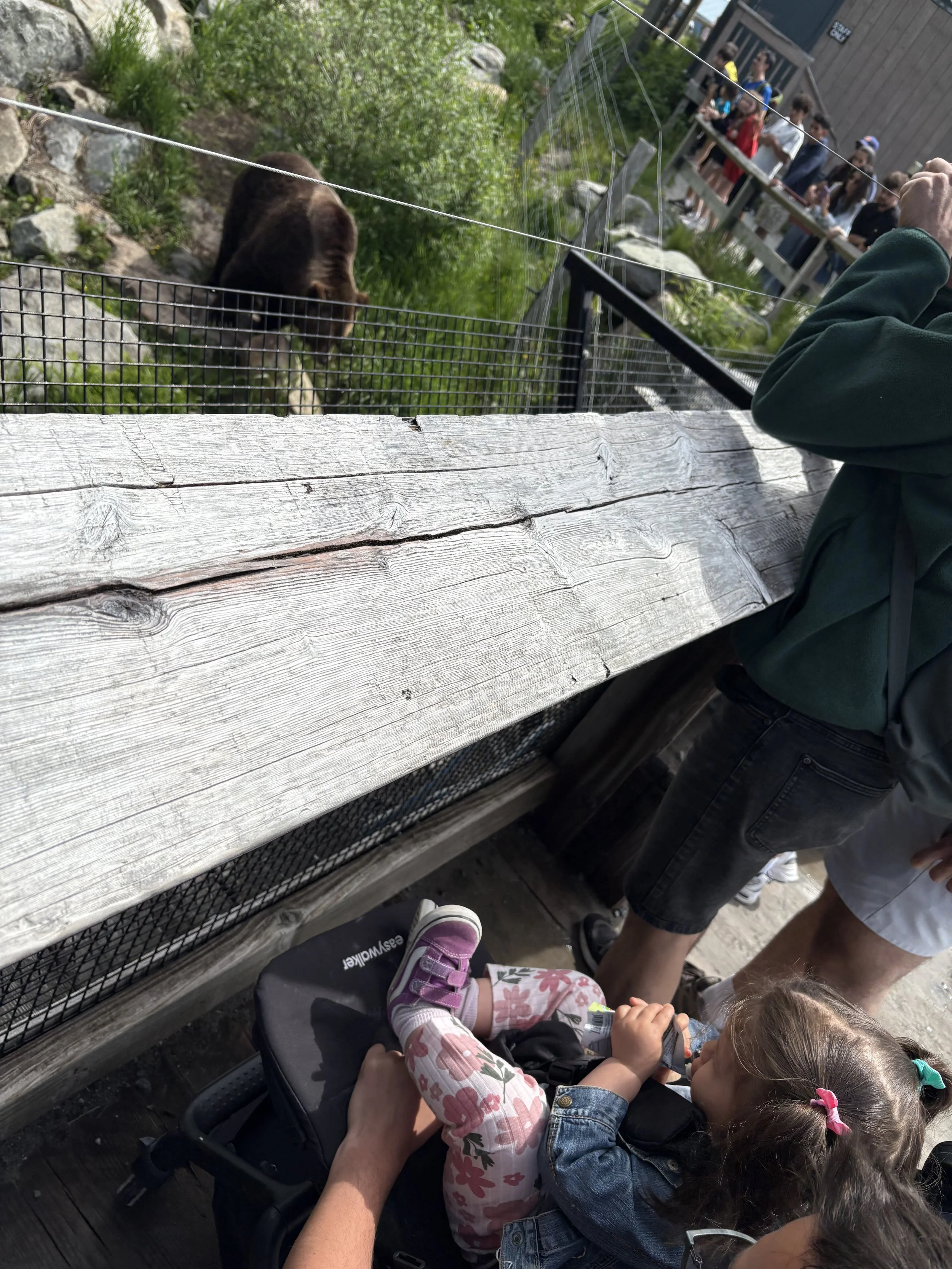 2025-07-02 20.48.13.jpg