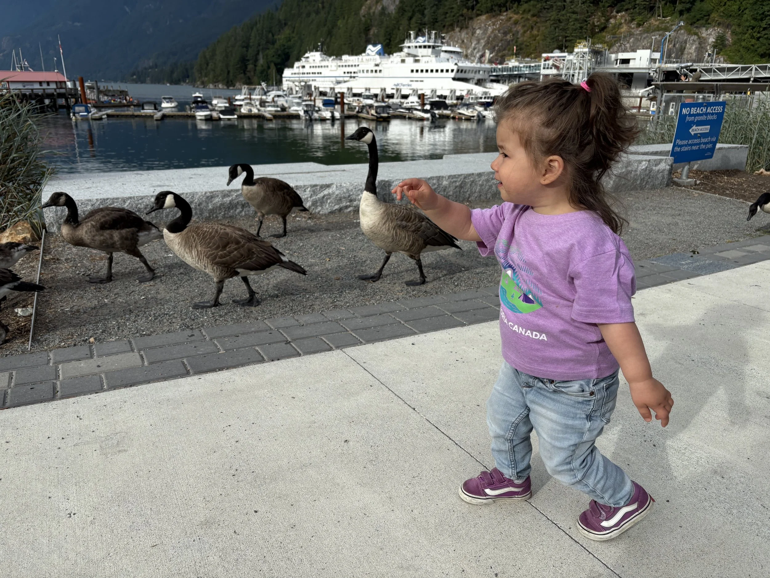 2025-07-12 03.26.51.jpg