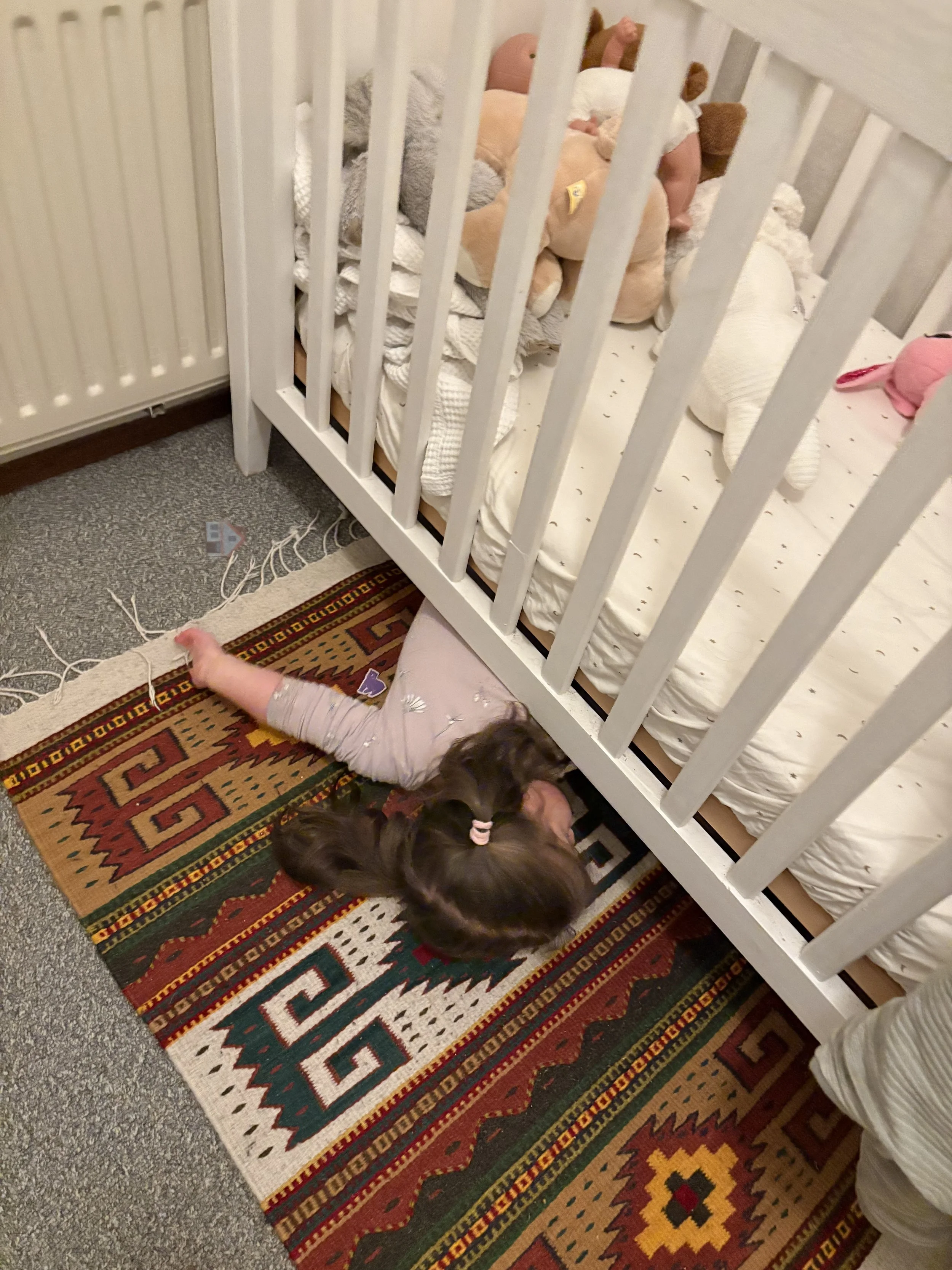 2025-12-09 20.02.59.jpg