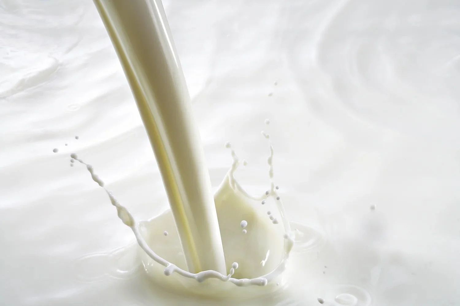 food-photography-milk-splash-closeup.jpg