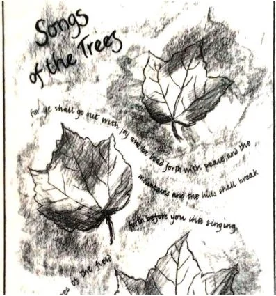 Book Review: “Songs of the Trees”, by Colin Tanser