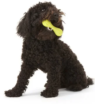 West-Paw-Design-Zogoflex™-Mini-Hurley-Dog-Toy.jpg