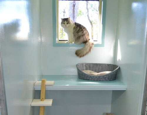 Cattery 2 level apartments.jpg