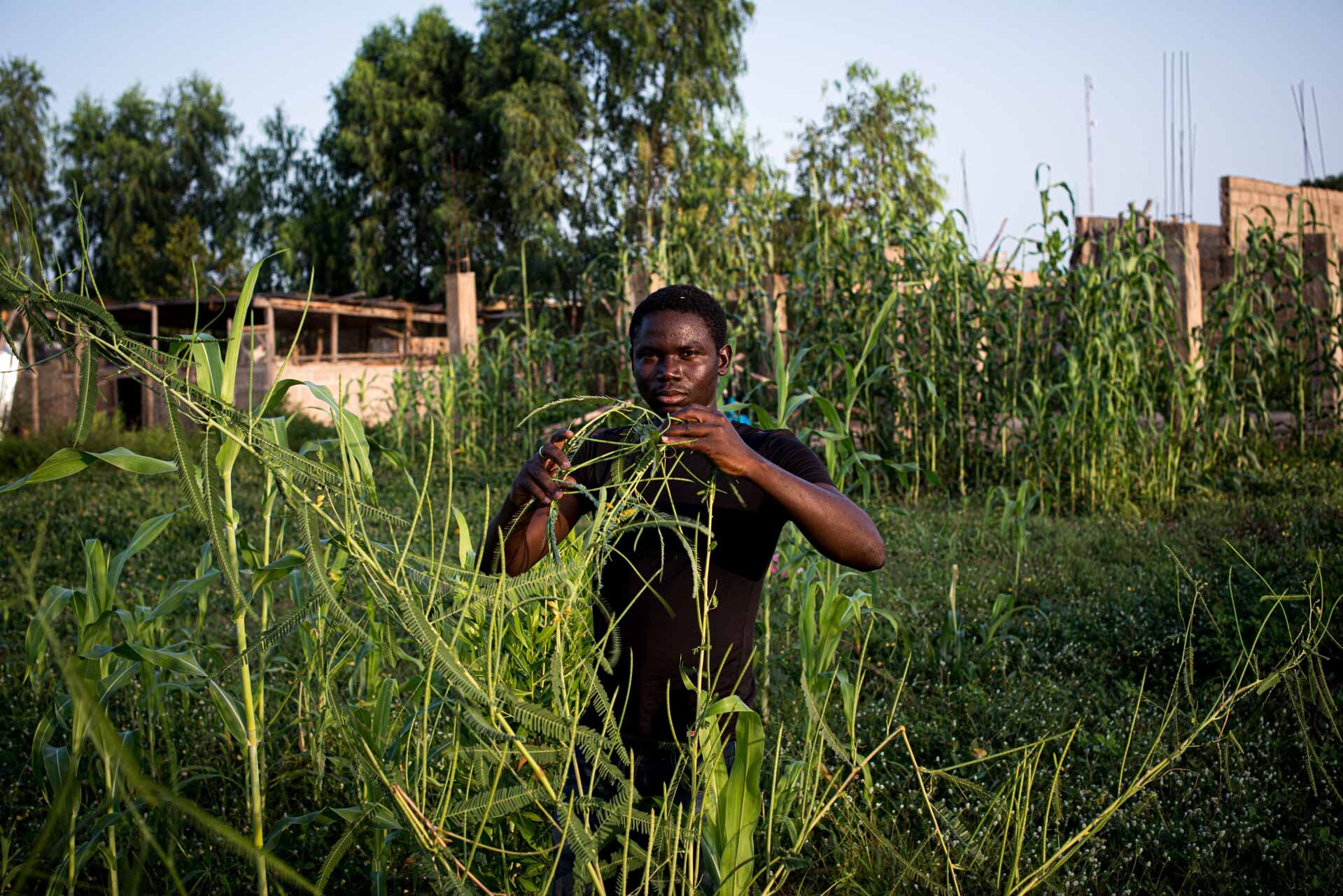 La jeunesse veille au "grain", Bamako, Mali, 2014.