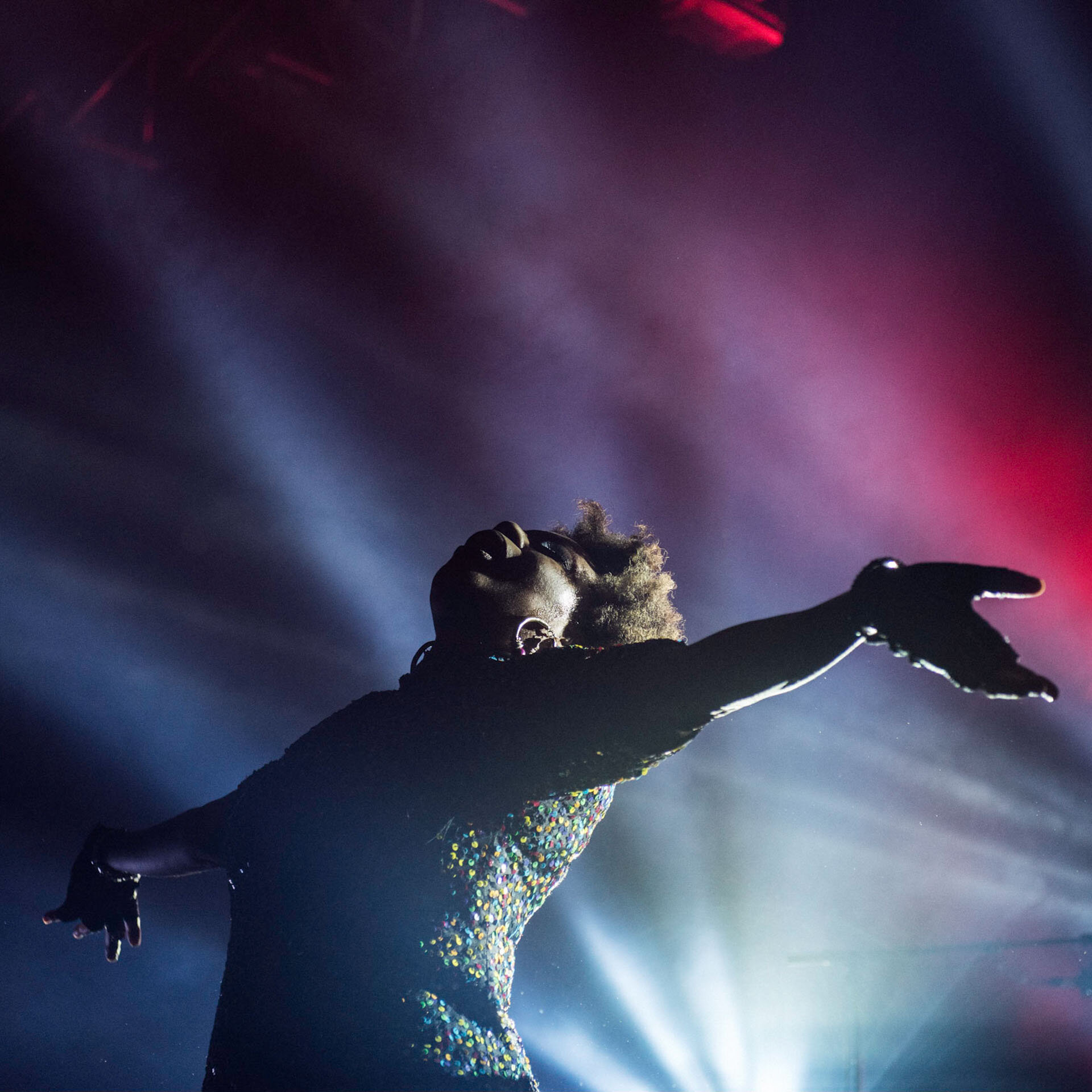 AfroPunk Paris 2017