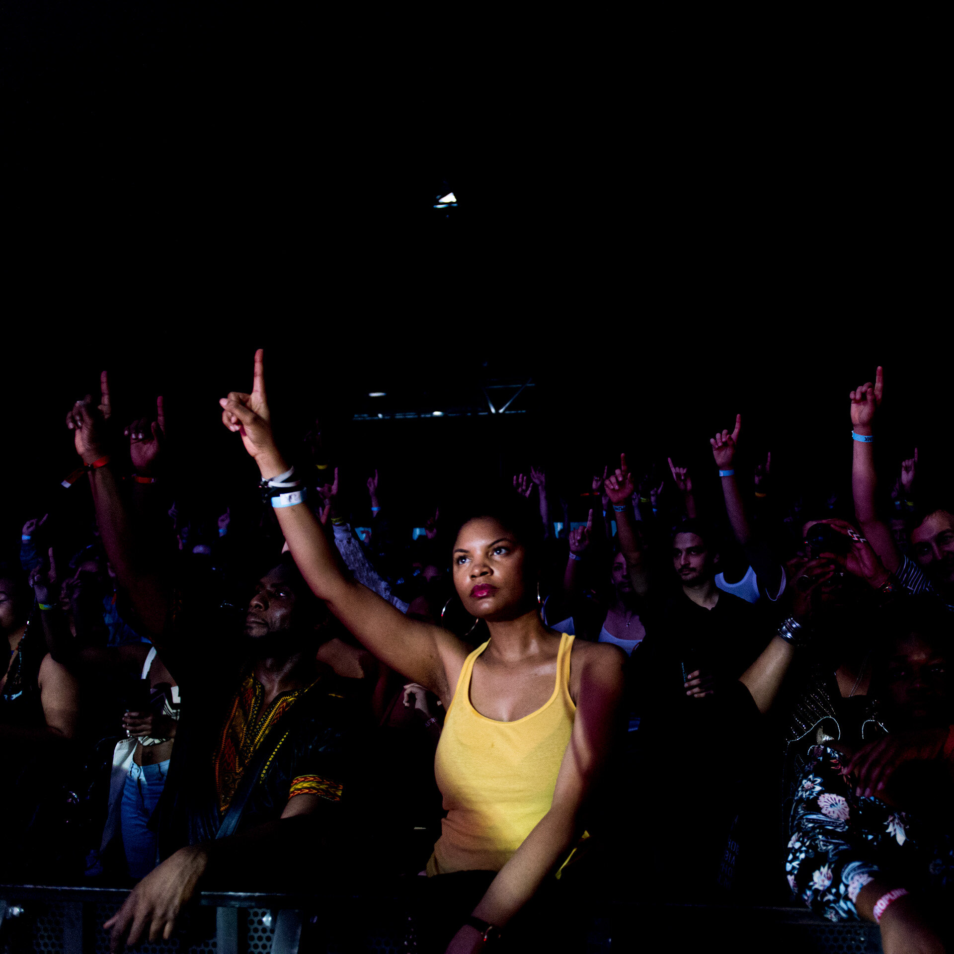 AfroPunk Paris 2017