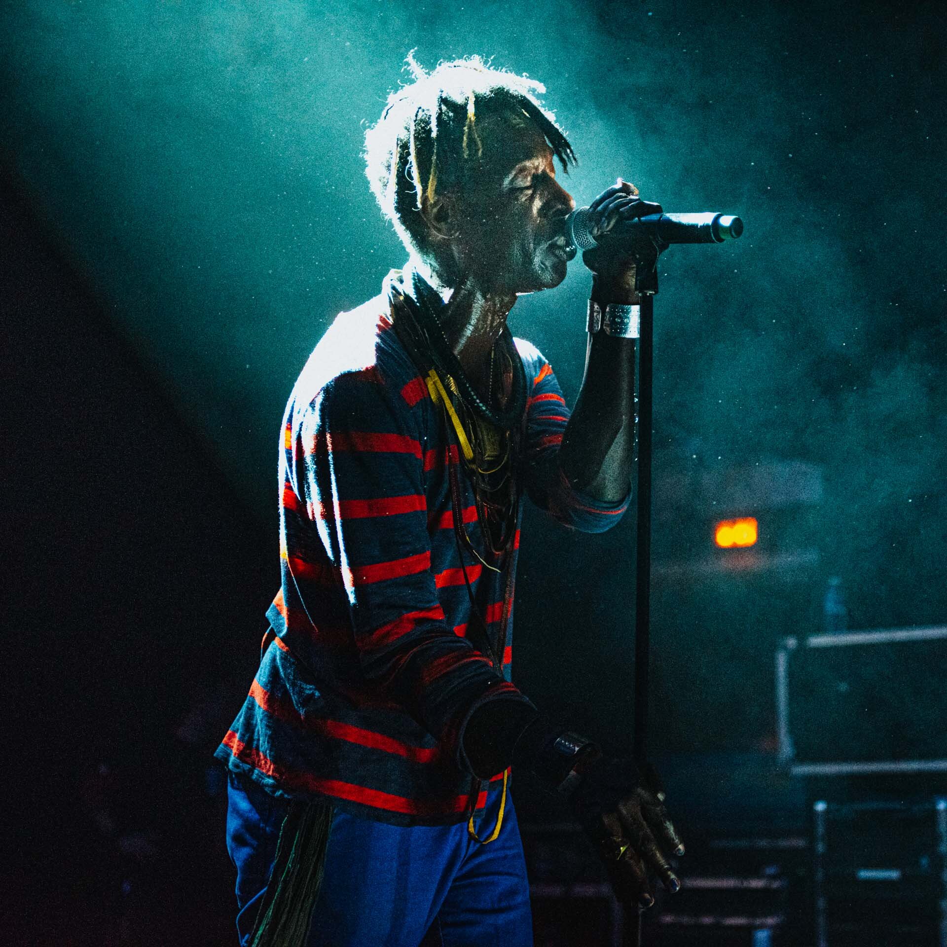 AfroPunk Paris 2016