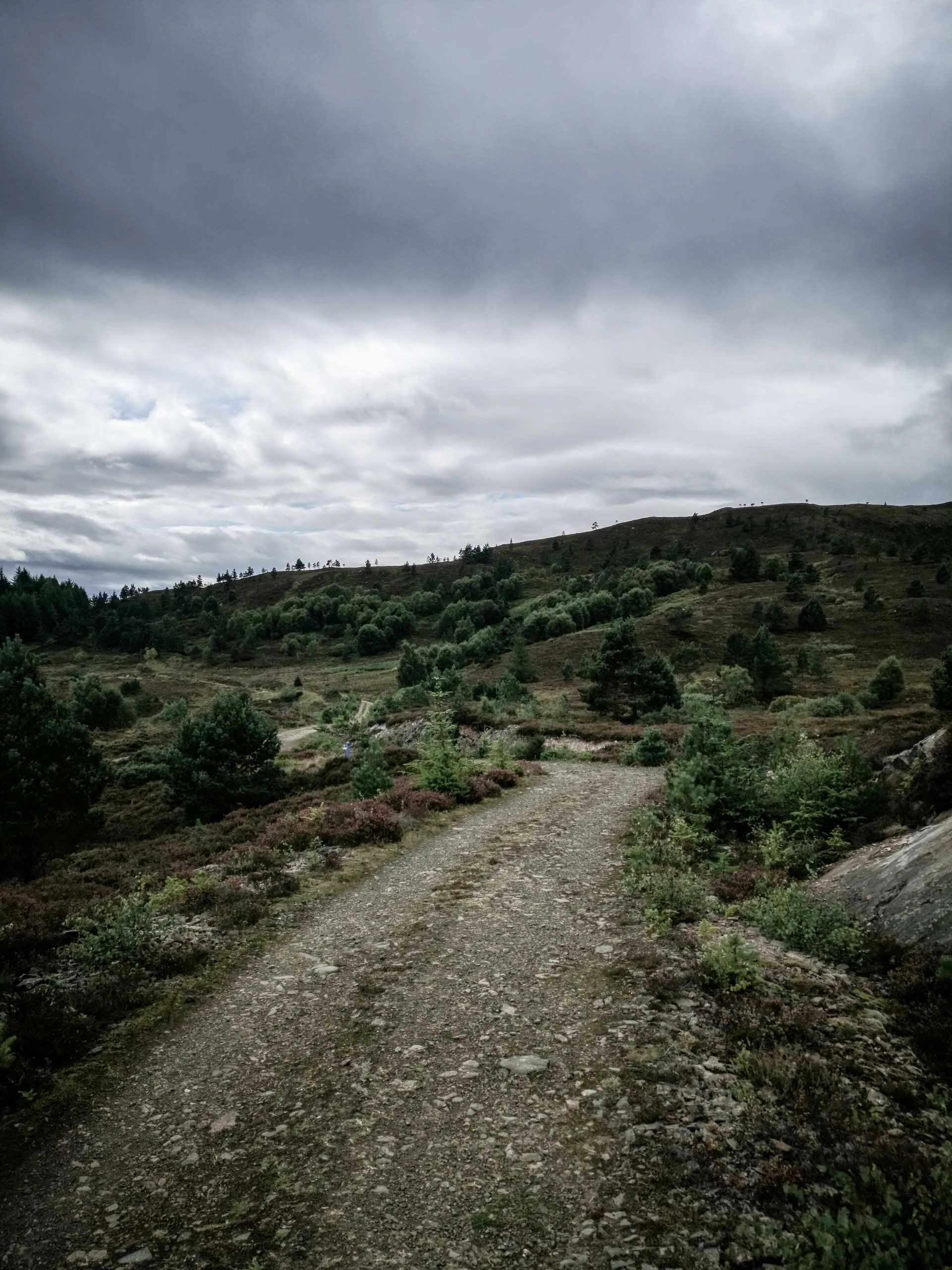 AG_ecosse-1-20.jpg