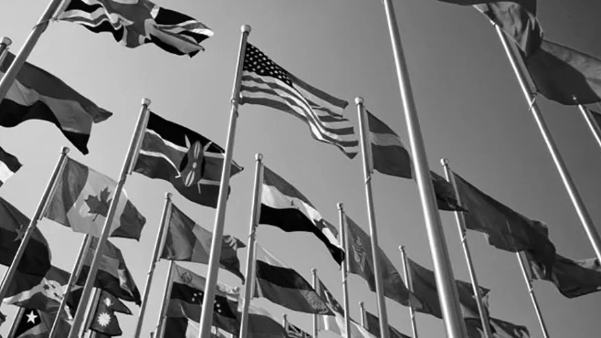   CONOW's advisers produce analyses on country situations, politics, economics and culture.&nbsp;  