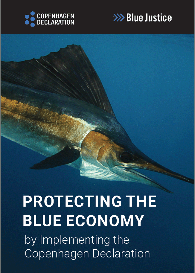 Jubileumsrapport for Blue Justice