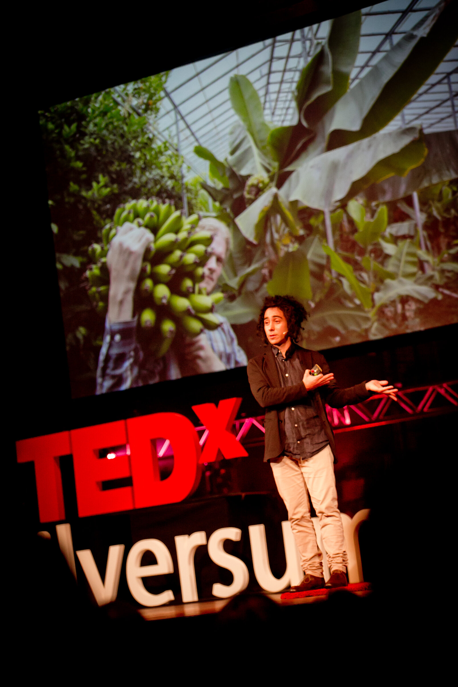 A Volcano as Your Neighbour | TEDxHilversum