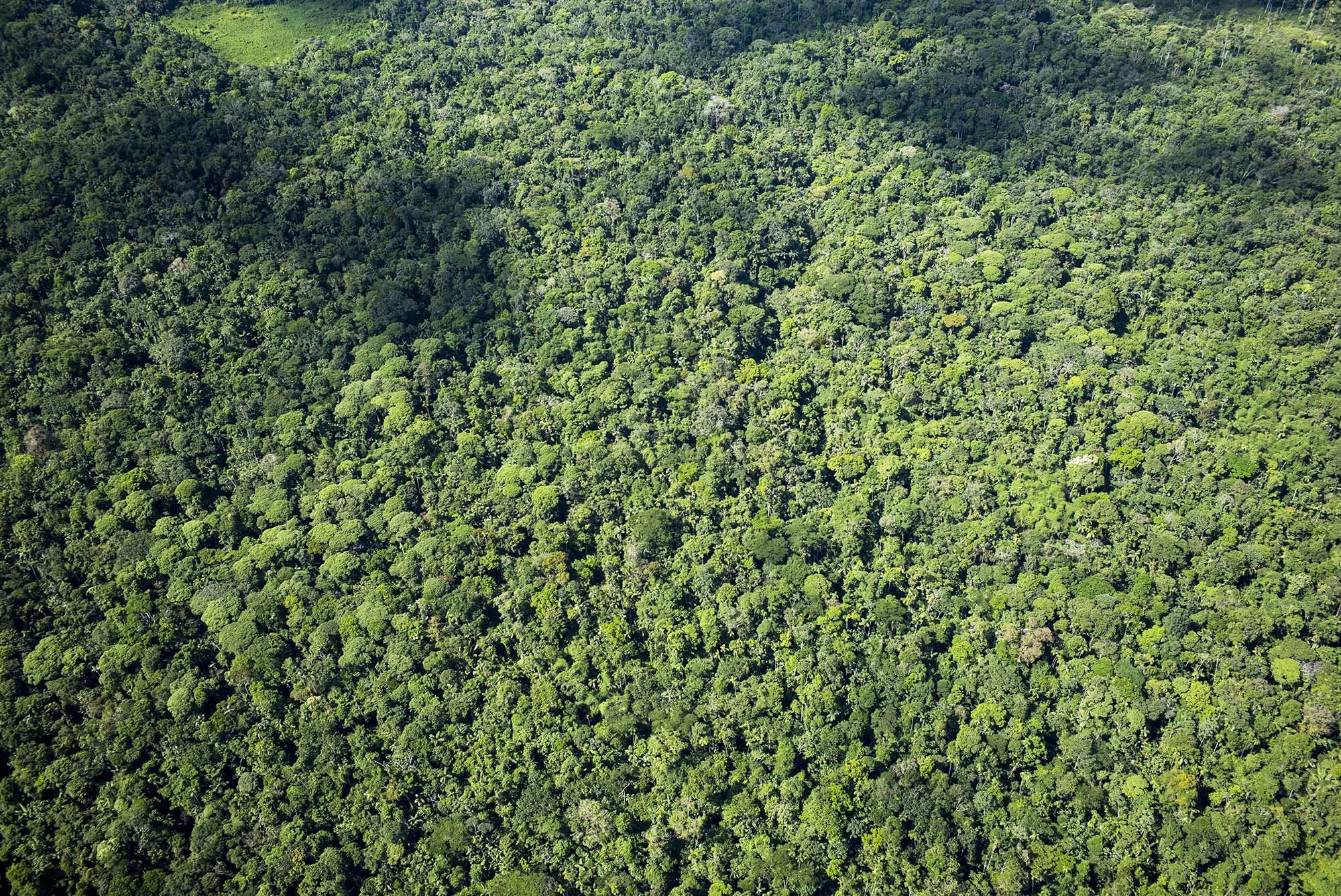 Pastaza