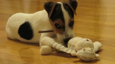 IMG_1280.JPG