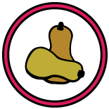 summersquash.png