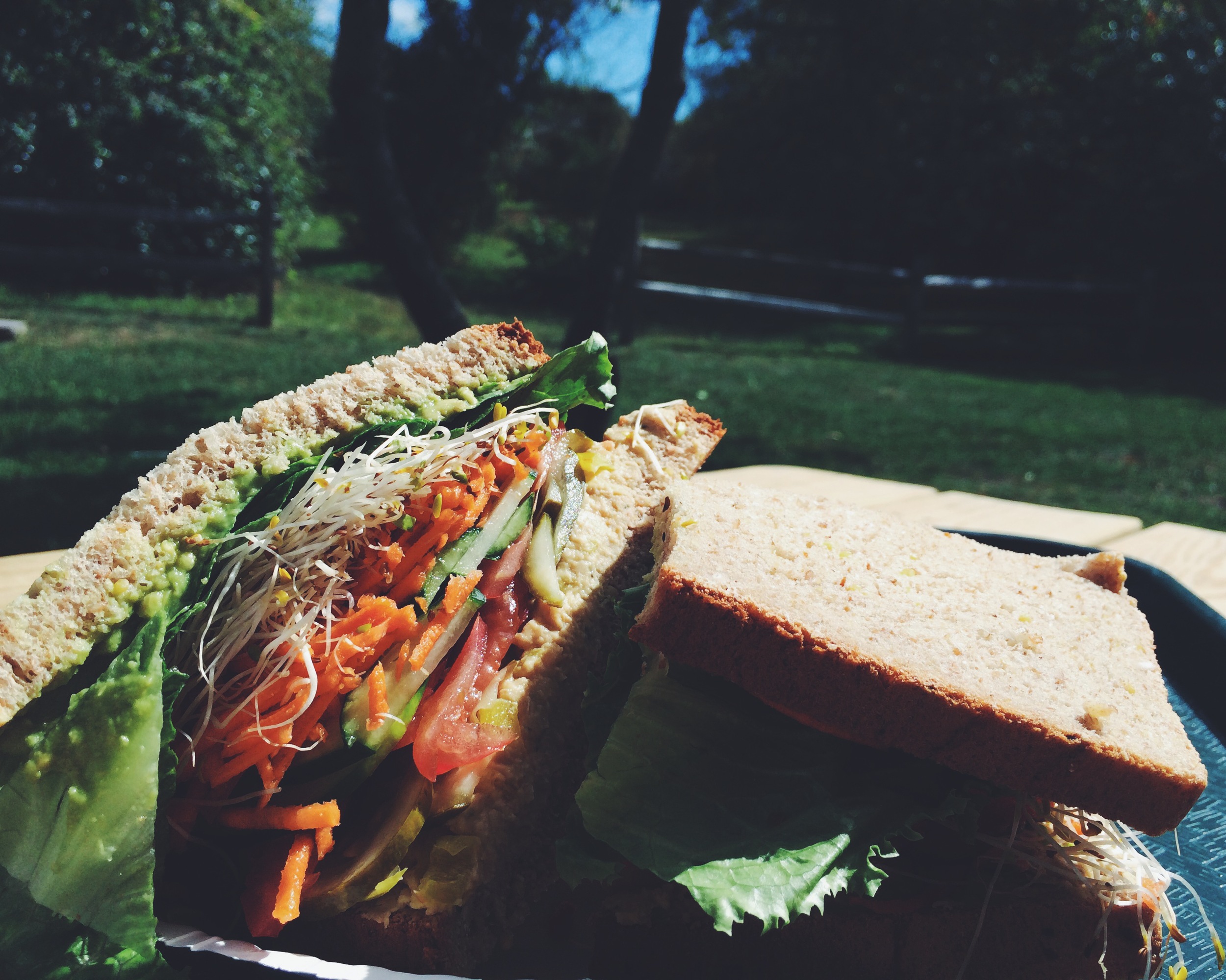  Vegetarian sandwich at Something Natural 